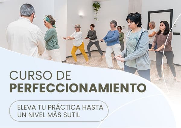 Practicando en el curso de perfeccionamient de Qi Gong